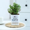 Jade Plant With Self-Watering Planter Online