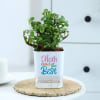 Gift Jade Plant With Self-Watering Planter For Mom