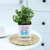 Buy Jade Plant With Self-Watering Planter For Mom