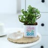 Shop Jade Plant With Self-Watering Planter For Mom