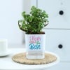 Jade Plant With Self-Watering Planter For Mom Online