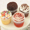 JUMBO Gluten-Free Gourmet Cupcake Favorites Online
