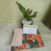 L1 Hamper ( Planter & Chocolate Pack ) Online