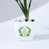 Shop Let Love Grow Aglaonema Plant with Planter