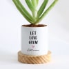 Gift Let Love Grow - Aloe Vera Plant With Pot - Personalized
