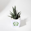 Gift Let Love Grow Haworthia Plant With Planter