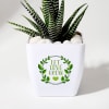 Buy Let Love Grow Haworthia Plant With Planter