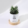 Buy Let Love Grow - Haworthia Succulent With Pot - Personalized
