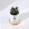 Shop Let Love Grow - Haworthia Succulent With Pot - Personalized