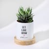 Let Love Grow - Haworthia Succulent With Pot - Personalized Online