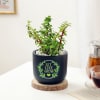 Gift Let Love Grow Jade Plant With Planter