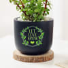 Buy Let Love Grow Jade Plant With Planter