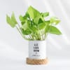Let Love Grow - Money Plant - Personalized Online