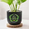 Buy Let Love Grow Money Plant With Planter