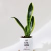 Gift Let Love Grow - Snake Plant With Pot - Personalized