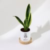 Shop Let Love Grow - Snake Plant With Pot - Personalized