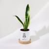 Let Love Grow - Snake Plant With Pot - Personalized Online