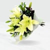 Lily Bunch Online