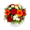Liveliness Online