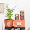Buy Love And Warmth Mother's Day Hamper