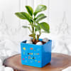 Gift Love Dad Blue Ceramic Planter With Plant