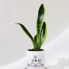 Gift Love Grows Forever - Snake Plant With Pot - Personalized