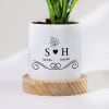 Buy Love Grows Forever - Snake Plant With Pot - Personalized