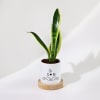 Love Grows Forever - Snake Plant With Pot - Personalized Online