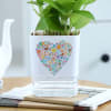 Gift Love In Bloom - Money Plant With Self Watering Planter