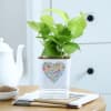 Love In Bloom - Money Plant With Self Watering Planter Online