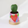 Buy Love Is All Around - Heart Hoya Plant With Personalized Planter