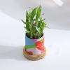 Buy Love Is All Around - Two-Layered Bamboo Plant With Personalized Planter