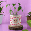 Buy Love N Kisses Personalized Planter