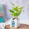 Gift Love Papa White Ceramic Planter With Plant