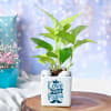 Love Papa White Ceramic Planter With Plant Online