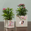Love Personalized Planter - Set of Two Online