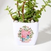 Gift Love You - Jade Plant With Planter