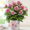 Lovely Lavender Rose Online