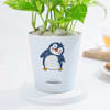 Shop Lovely Money Plant In Self-Watering Penguin Planter