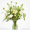 Lovely white Online
