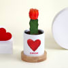 Gift Lovers Moon Cactus  with Personalized Vase