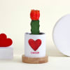 Lovers Moon Cactus  with Personalized Vase Online