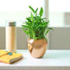 Gift Lucky 3 Layer Bamboo Plant in a Luxury Metal Pot