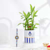 Gift Lucky Greens And Protection Rakhi Combo