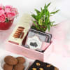 Lucky Mother's Day Hamper Online