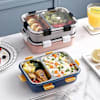 Lunch Box - 2 Compartments - Reheatable - Assorted - Single Piece Online