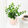 Buy Lush Ivy In Striped Coffee Planter