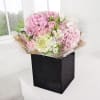 Buy Luxury Hydrangea and Disbuds Hand Tied