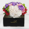 Gift Luxury Vanda Orchid & Hydrangea Vase