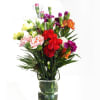 Magnificient Spray Carnations Online